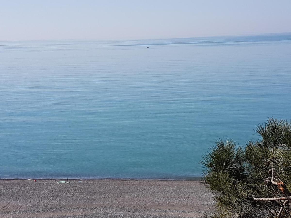 Midia Guest House Kobuleti Exterior foto